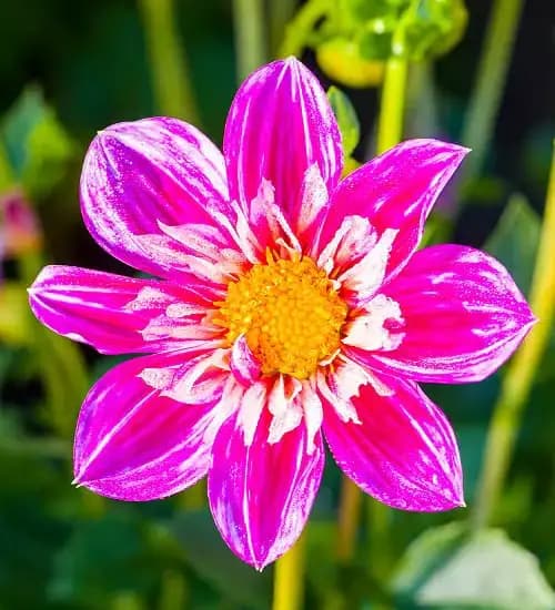 calgary landscaping
